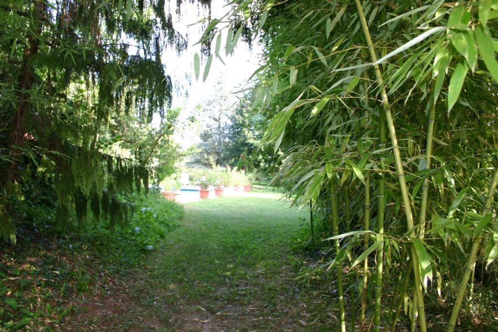 Bois Joli De La Freyere Acomodação com café da manhã Hindisheim Exterior foto